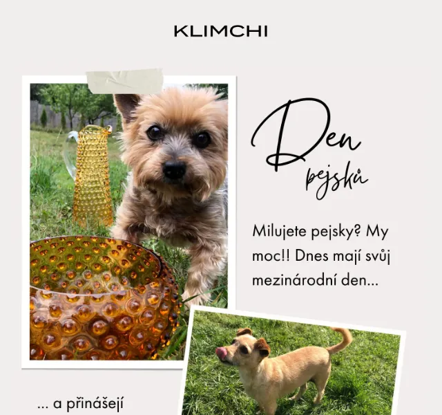 KLIMCHI: Furry friends akce – červen 2026 | Nuslet.cz