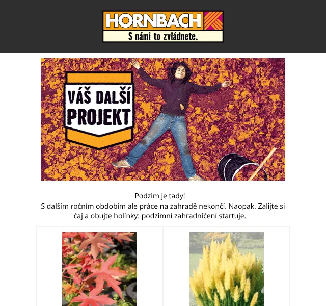 HORNBACH: Podzimní sázení cibulovin od 35 Kč – říjen 2026